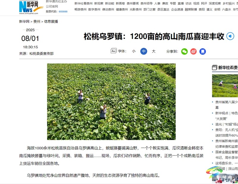 【成績單來了！】松桃2025年8月份對外宣傳成績單