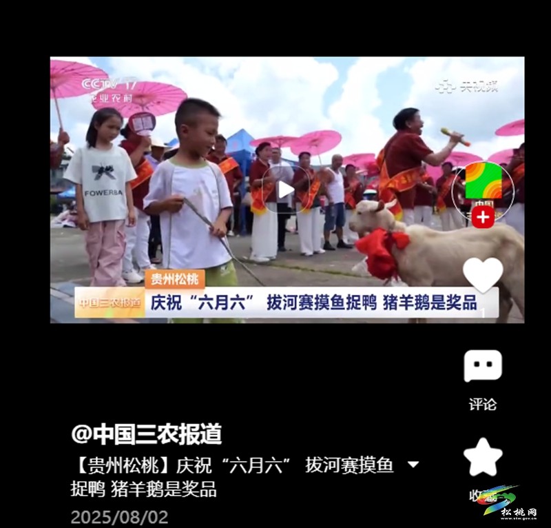 【成績單來了！】松桃2025年8月份對外宣傳成績單