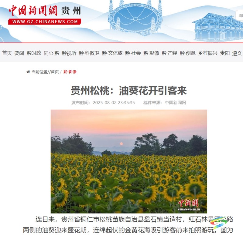 【成績單來了！】松桃2025年8月份對外宣傳成績單