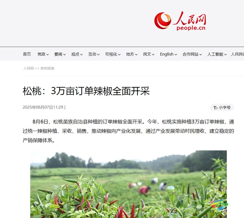 【成績單來了！】松桃2025年8月份對外宣傳成績單