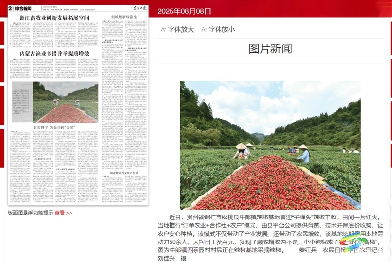 【成績單來了！】松桃2025年8月份對外宣傳成績單