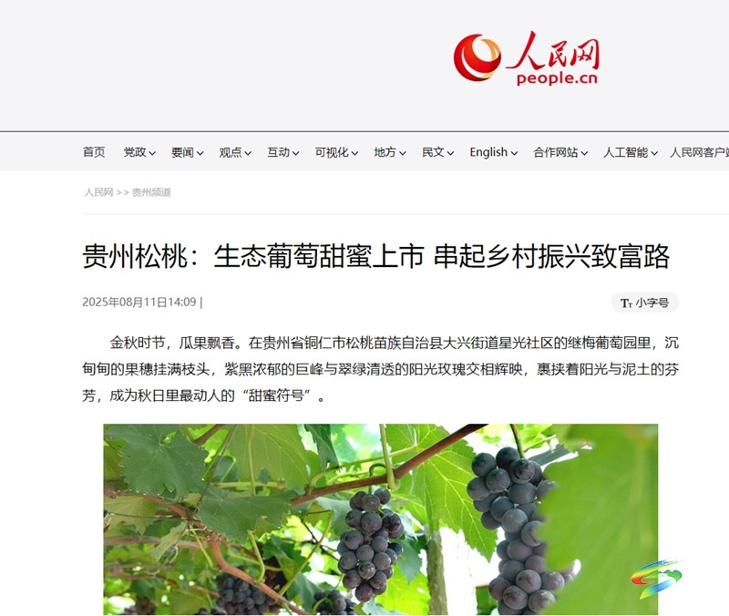 【成績單來了！】松桃2025年8月份對外宣傳成績單