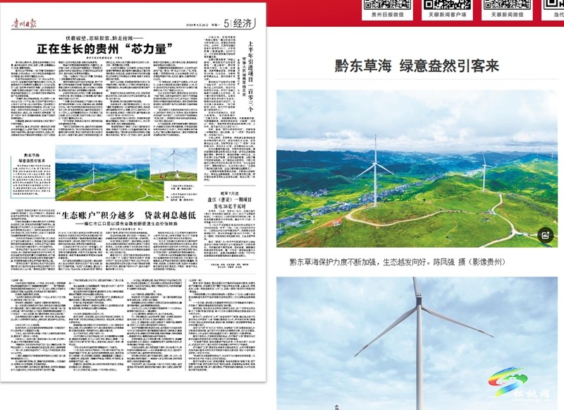 【成績單來了！】松桃2025年8月份對外宣傳成績單