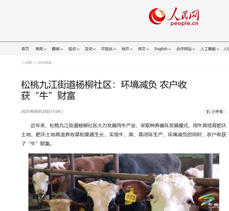 【成績單來了！】松桃2025年8月份對外宣傳成績單