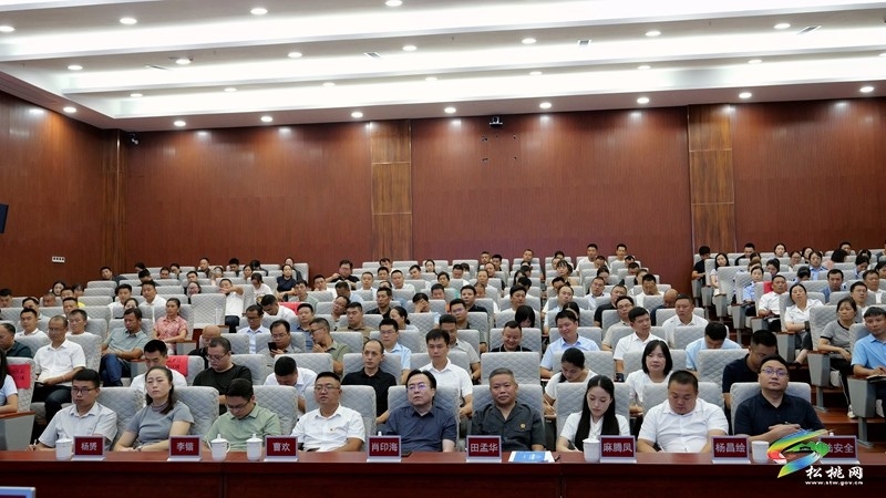 松桃苗族自治縣人民法院“苗繡未來(lái)”未成年人司法保護(hù)品牌新聞發(fā)布會(huì)召開