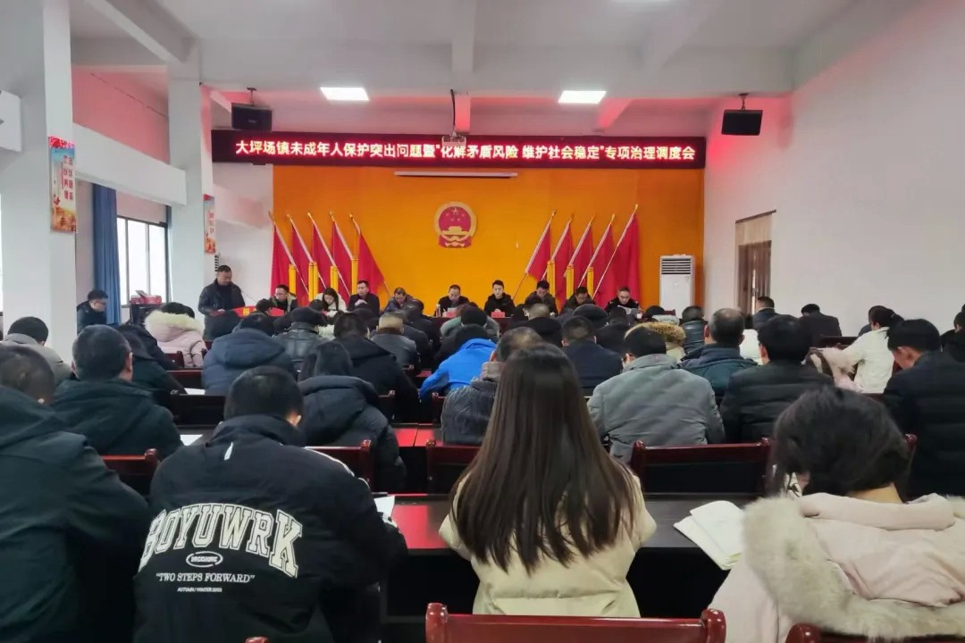 大坪場(chǎng)鎮(zhèn)：“四個(gè)+”提升“兩個(gè)專項(xiàng)治理”工作質(zhì)效