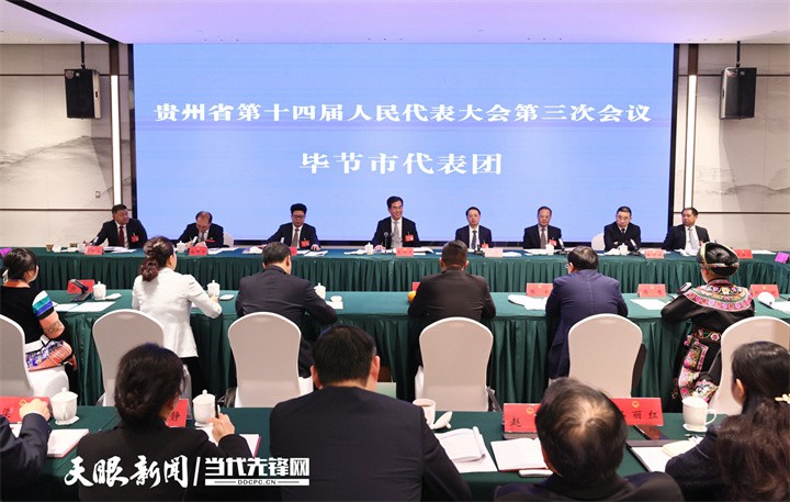 李炳軍參加畢節(jié)代表團審議