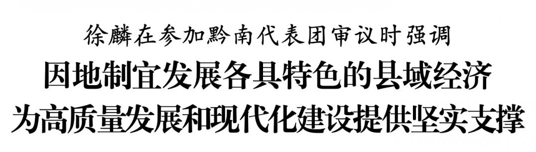 徐麟?yún)⒓忧洗韴F(tuán)審議