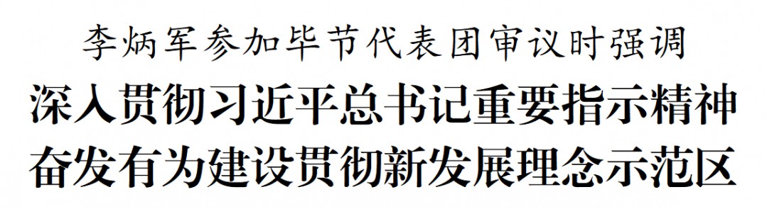 李炳軍參加畢節(jié)代表團審議