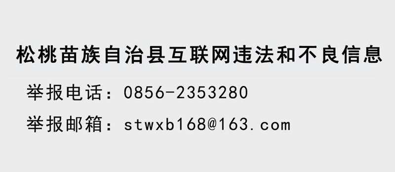 民建銅仁市工委到松桃開展春節(jié)走訪慰問活動
