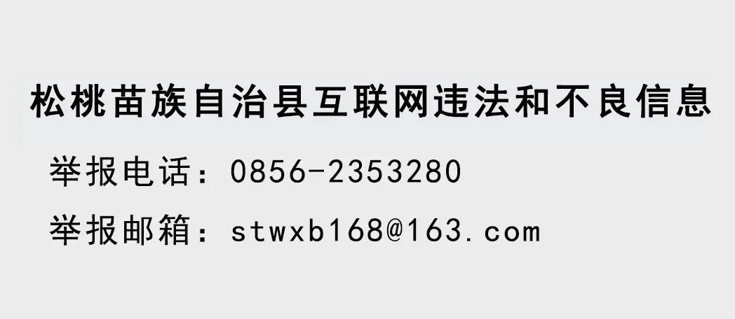 2025年全縣武裝工作會(huì)議召開(kāi)