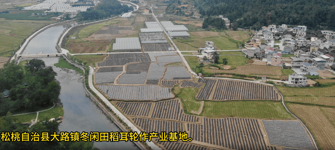 讓村民腰包鼓起來(lái)！貴州松桃大力推進(jìn)“強(qiáng)村富民”行動(dòng)