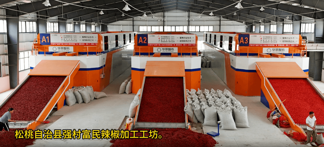 讓村民腰包鼓起來(lái)！貴州松桃大力推進(jìn)“強(qiáng)村富民”行動(dòng)
