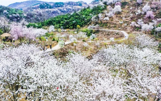【武陵視界】鄉(xiāng)愁印跡·村史村事｜碧江路臘村：以農(nóng)體旅為筆 繪就鄉(xiāng)村振興新畫卷